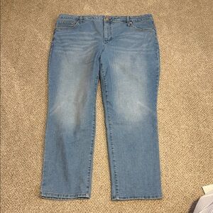 Terra & Sky Women's Straight Leg Blue Jeans